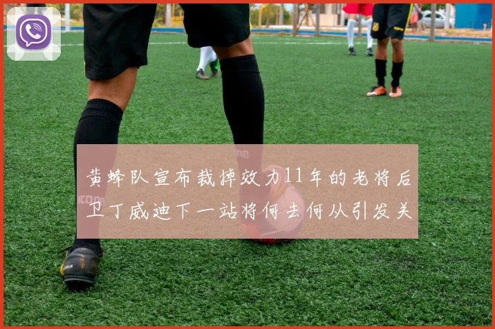 黄蜂队宣布裁掉效力11年的老将后卫丁威迪下一站将何去何从引发关注