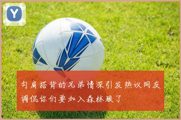 勾肩搭背的兄弟情深引发热议网友调侃你们要加入森林狼了