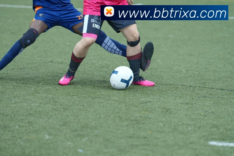 BB体育APP 高清赛事图